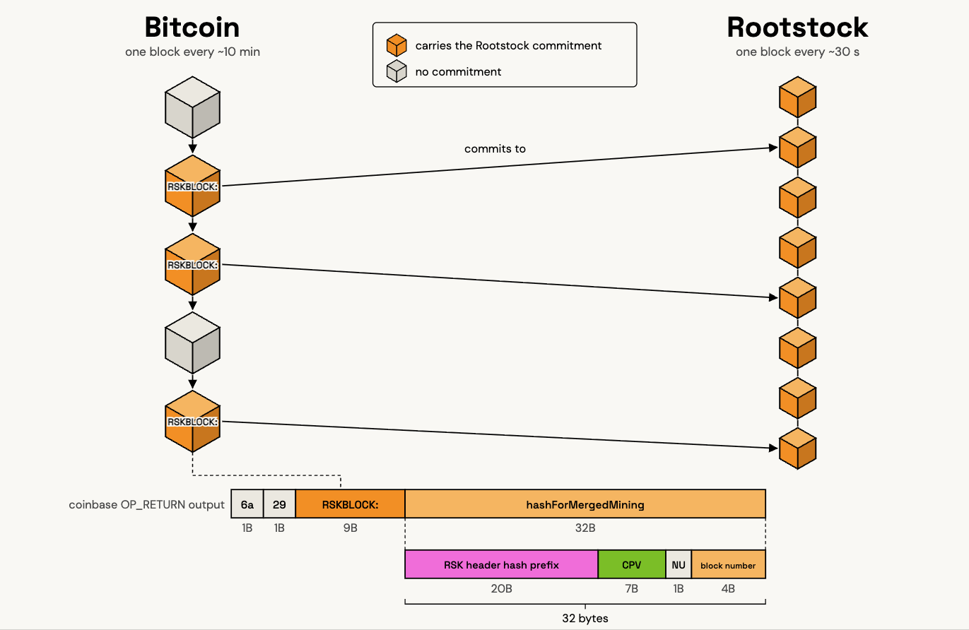 Bitcoin blocks carrying the RSKBLOCK: tag each commit to one Rootstock block, and the byte layout of that commitment inside the coinbase OP_RETURN output